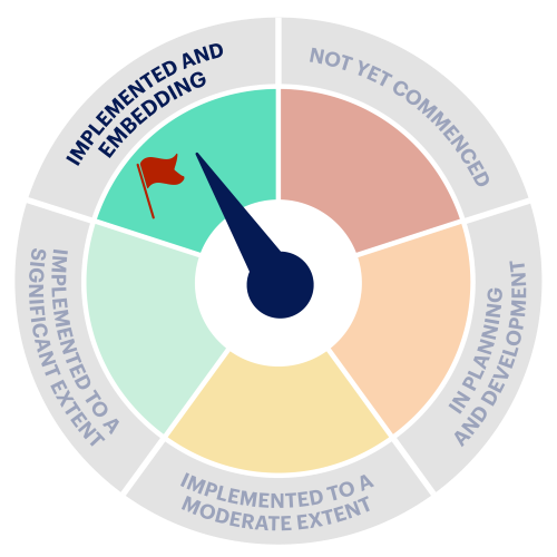 VEOHRC_AV Rating Scale_Implemented 2 - Flag.png